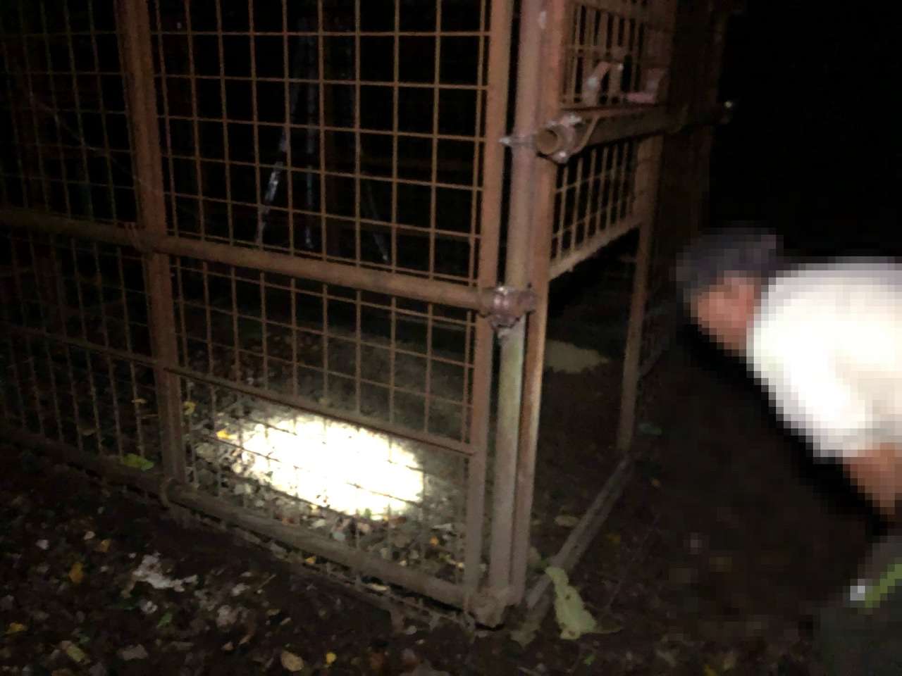 #兵庫県#宝塚市#いのしし#鹿#害獣#駆除#山#檻#罠#猟#野生#仕掛け#肉#猪#しか#防犯#カメラ#赤外線#夜間#西宮市#甲子園#すむーず